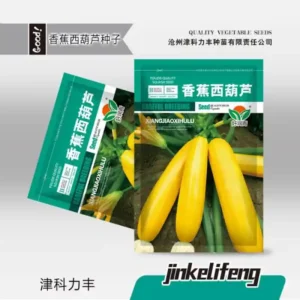 হলুদ স্কোয়াশ বীজ (50+ Seeds) – উজ্জ্বল রঙ, নরম ও উচ্চ ফলন