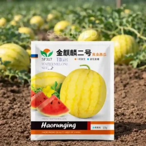 উপরে হলুদ ভিতরে লাল তরমুজ বীজ – উচ্চ ফলনশীল হাইব্রিড সিড (50+ Seeds Pack)