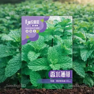 পুদিনা বীজ (500+ Seeds)সুগন্ধি দ্রুত বৃদ্ধি ও সহজ চাষ