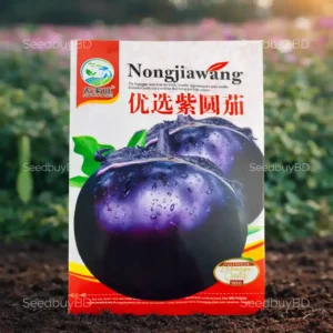 বিদেশি গোল তাল বেগুন বীজ (100+ Seeds)বড় সাইজ, বেশি ফলন