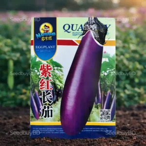 জাপানি লম্বা বেগুন বীজ (100+Seeds)দ্রুত বৃদ্ধি ও বেশি ফলন