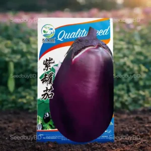 কোরিয়ান গোল বেগুন বীজ (100+ Seeds)ছোট গোল, নরম ও উচ্চ ফলন