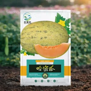 সাম্মাম ফল বীজ (100+ Seeds)সুপার মিষ্টি, সুগন্ধি ও উচ্চ ফলন