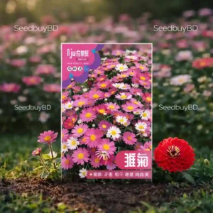 গোলাপি ডেইজি ফুলের বীজ (400+ Seeds)নরম রঙ, সহজ চাষ ও দীর্ঘ সময় ফোটে