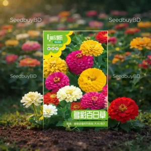 জিনিয়া ফুলের বীজ (100+ Seeds) – উজ্জ্বল রঙ, সহজ চাষ ও দীর্ঘ সময় ফুল ফোটে