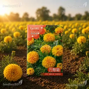 হলুদ গাঁদা ফুলের বীজ (150+ Seeds)উজ্জ্বল রঙ বেশি ফুল ও সহজ চাষ