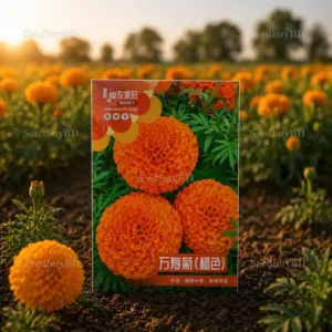 লাল গাঁদা ফুলের বীজ (150+ Seeds) উজ্জ্বল রঙ বেশি ফুল ও সহজ চাষ