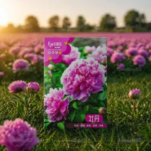 পিওনি ফুলের বীজ (500+ Seeds)বড় ফুল, সুগন্ধি ও প্রিমিয়াম লুক