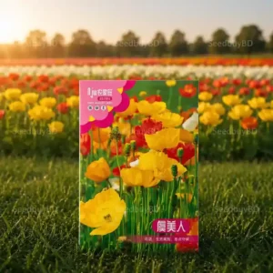 মাল্টি কালার পপি ফুলের বীজ (500+ Seeds) এক গাছে ৫ রঙের ফুল