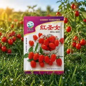চেরি টমেটো বীজ (100+ Seeds) ছোট, মিষ্টি ও বেশি ফলন
