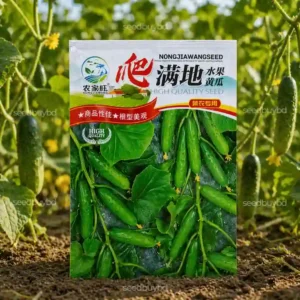 কোরিয়ান শসা বীজ (100+ Seeds)লম্বা কচি ও বেশি ফলন