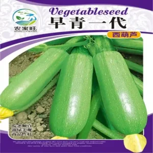 স্কোয়াশ বীজ (50+ Seeds) – নরম, কচি ও উচ্চ ফলনশীল