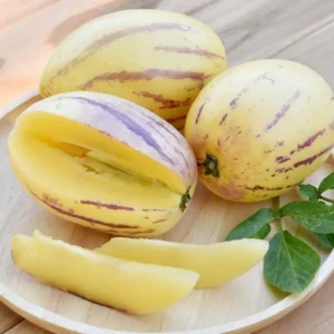 পেপিনো মেলন বীজ (50+ Seeds)মিষ্টি, জুসি ও উচ্চ ফলন